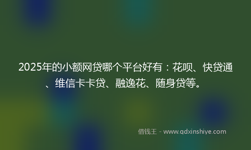 2025年的小额网贷哪个平台好有：花呗、快贷通、维信卡卡贷、融逸花、随身贷等。