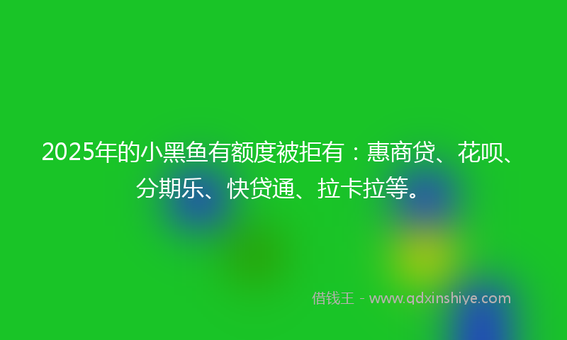 2025年的小黑鱼有额度被拒有：惠商贷、花呗、分期乐、快贷通、拉卡拉等。
