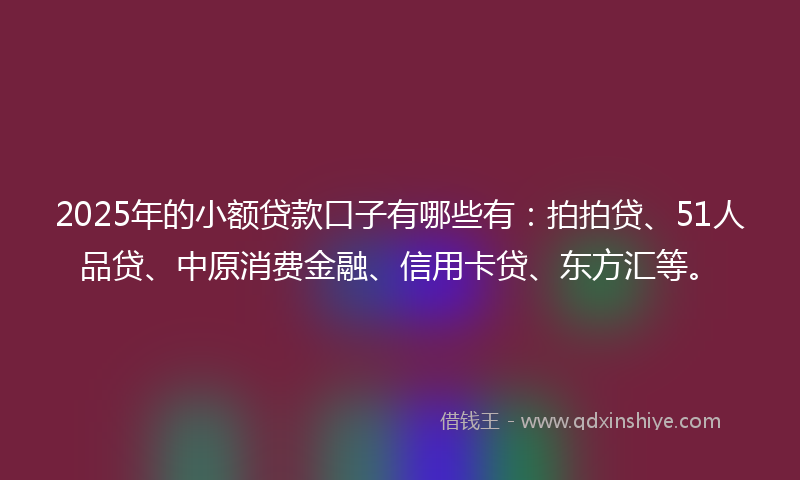 2025年的小额贷款口子有哪些有：拍拍贷、51人品贷、中原消费金融、信用卡贷、东方汇等。