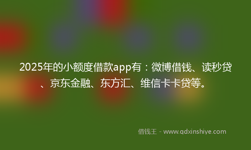 2025年的小额度借款app有：微博借钱、读秒贷、京东金融、东方汇、维信卡卡贷等。