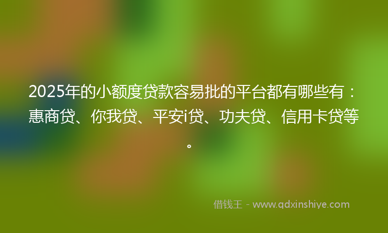 2025年的小额度贷款容易批的平台都有哪些有：惠商贷、你我贷、平安i贷、功夫贷、信用卡贷等。