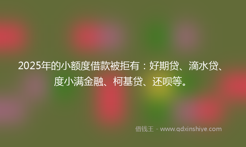 2025年的小额度借款被拒有：好期贷、滴水贷、度小满金融、柯基贷、还呗等。
