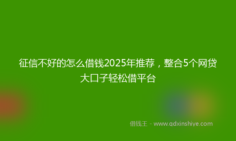 征信不好的怎么借钱2025年推荐，整合5个网贷大口子轻松借平台
