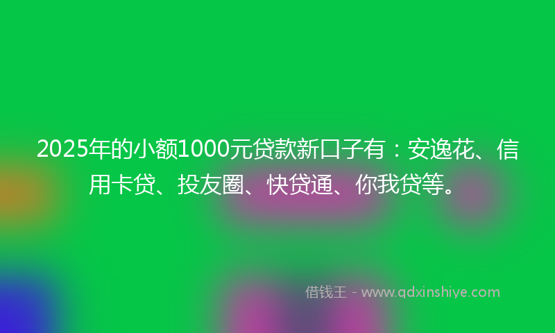 2025年的小额1000元贷款新口子有：安逸花、信用卡贷、投友圈、快贷通、你我贷等。