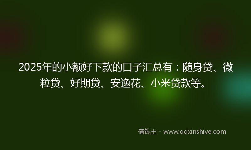 2025年的小额好下款的口子汇总有：随身贷、微粒贷、好期贷、安逸花、小米贷款等。
