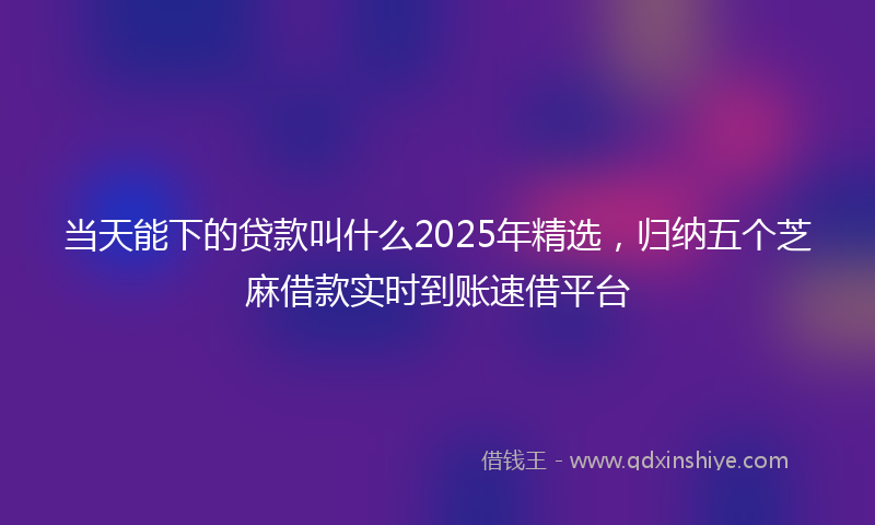 当天能下的贷款叫什么2025年精选，归纳五个芝麻借款实时到账速借平台