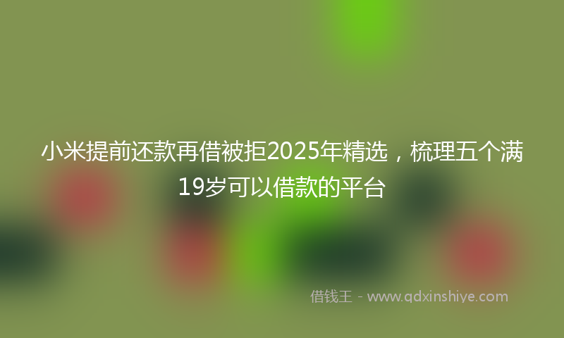 小米提前还款再借被拒2025年精选，梳理五个满19岁可以借款的平台