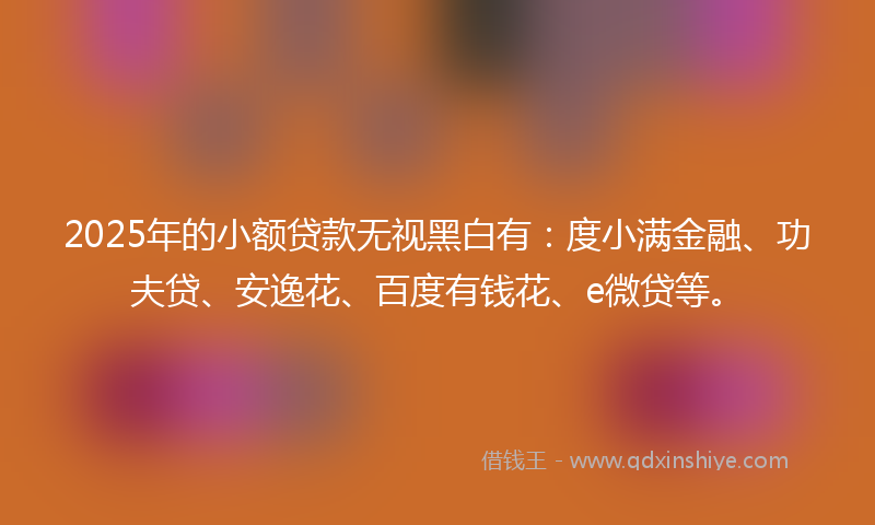 2025年的小额贷款无视黑白有：度小满金融、功夫贷、安逸花、百度有钱花、e微贷等。