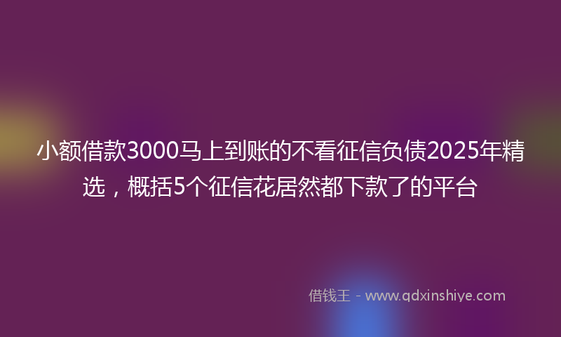 小额借款3000马上到账的不看征信负债2025年精选，概括5个征信花居然都下款了的平台