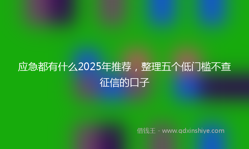 应急都有什么2025年推荐，整理五个低门槛不查征信的口子