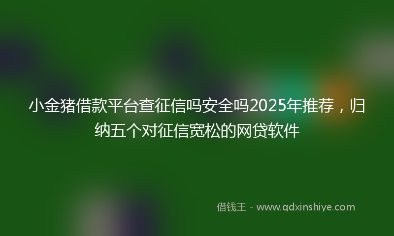小金猪借款平台查征信吗安全吗2025年推荐，归纳五个对征信宽松的网贷软件