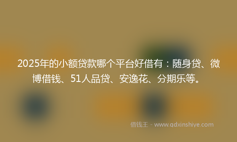 2025年的小额贷款哪个平台好借有：随身贷、微博借钱、51人品贷、安逸花、分期乐等。