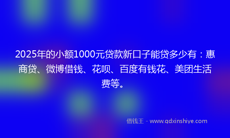 2025年的小额1000元贷款新口子能贷多少有：惠商贷、微博借钱、花呗、百度有钱花、美团生活费等。
