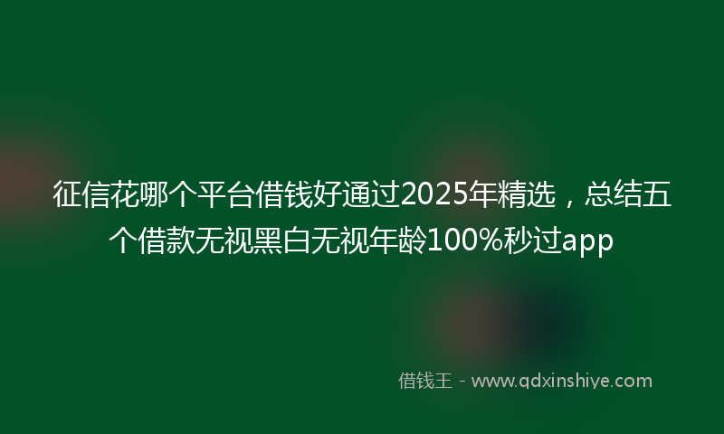 征信花哪个平台借钱好通过2025年精选，总结五个借款无视黑白无视年龄100%秒过app