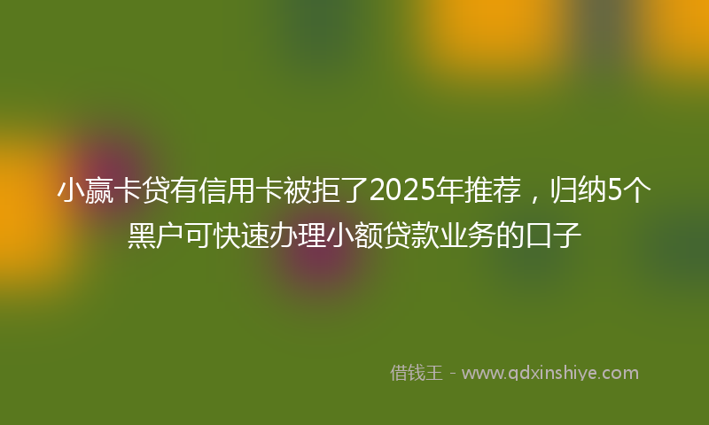 小赢卡贷有信用卡被拒了2025年推荐，归纳5个黑户可快速办理小额贷款业务的口子