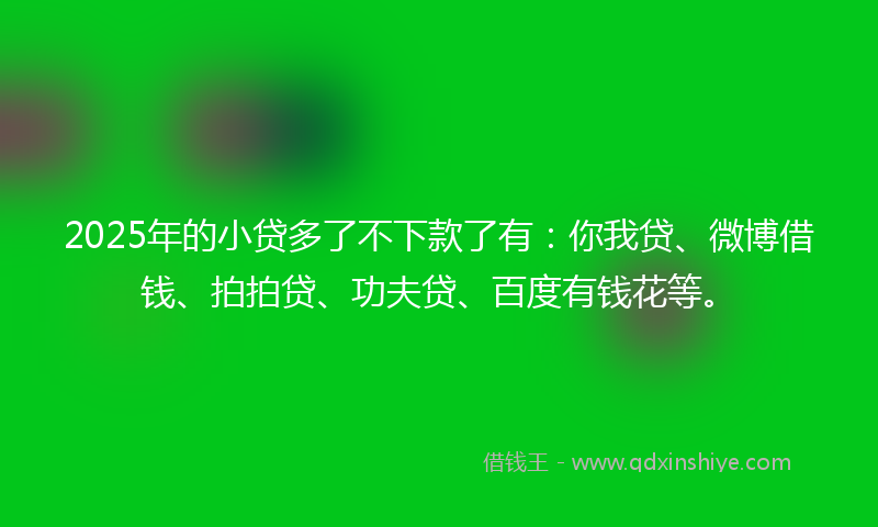 2025年的小贷多了不下款了有：你我贷、微博借钱、拍拍贷、功夫贷、百度有钱花等。