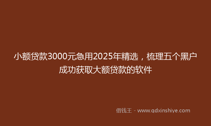 小额贷款3000元急用2025年精选，梳理五个黑户成功获取大额贷款的软件
