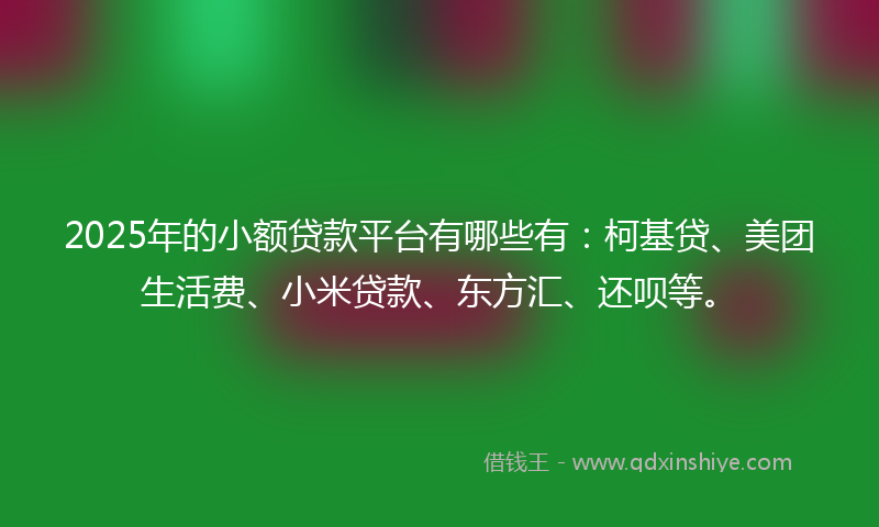 2025年的小额贷款平台有哪些有：柯基贷、美团生活费、小米贷款、东方汇、还呗等。