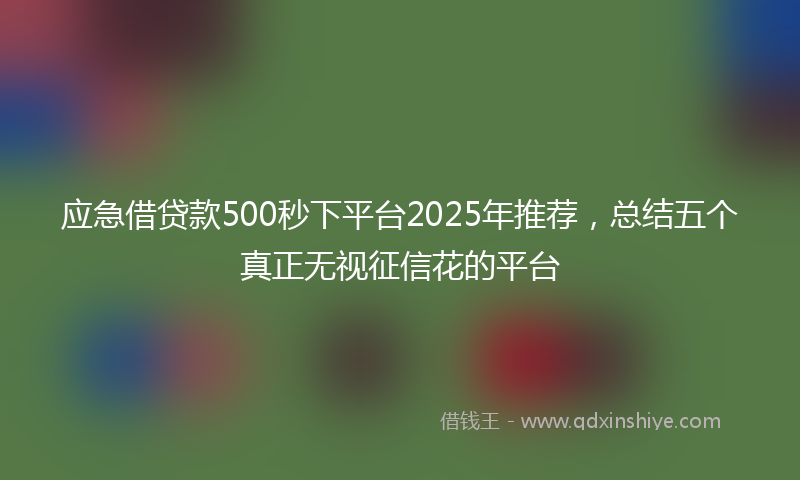 应急借贷款500秒下平台2025年推荐，总结五个真正无视征信花的平台