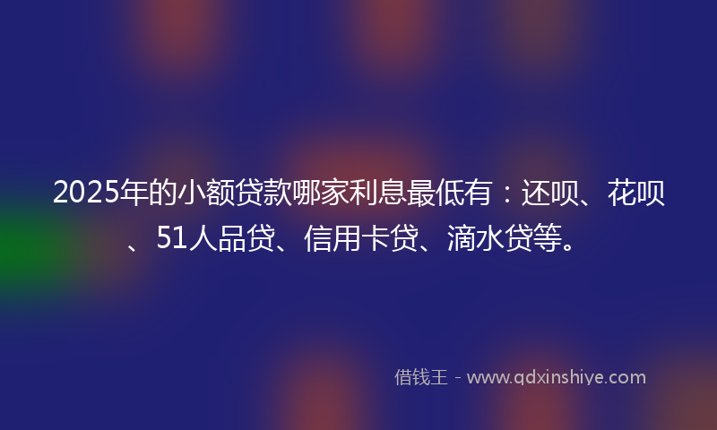 2025年的小额贷款哪家利息最低有：还呗、花呗、51人品贷、信用卡贷、滴水贷等。