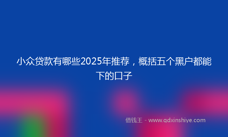 小众贷款有哪些2025年推荐，概括五个黑户都能下的口子