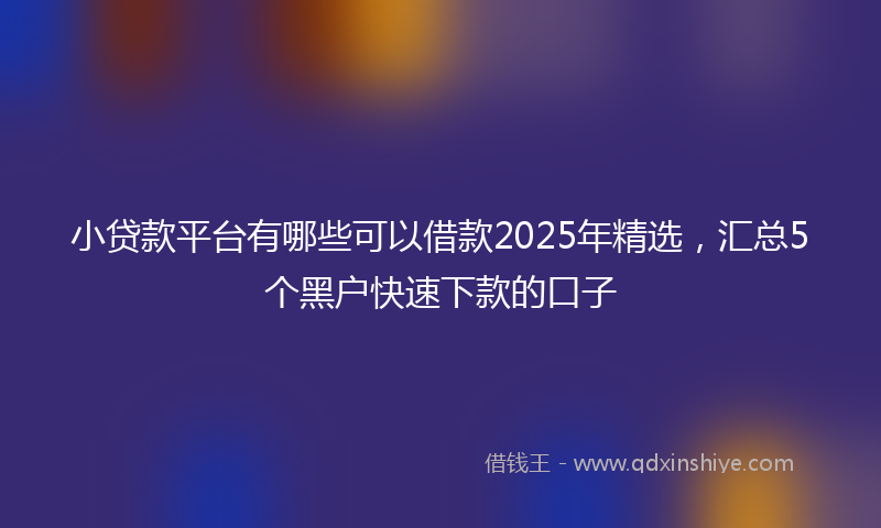 小贷款平台有哪些可以借款2025年精选，汇总5个黑户快速下款的口子