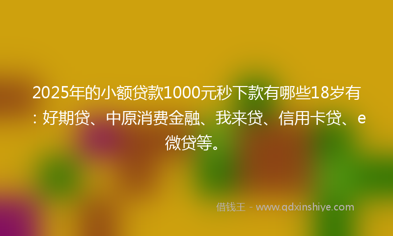 2025年的小额贷款1000元秒下款有哪些18岁有：好期贷、中原消费金融、我来贷、信用卡贷、e微贷等。