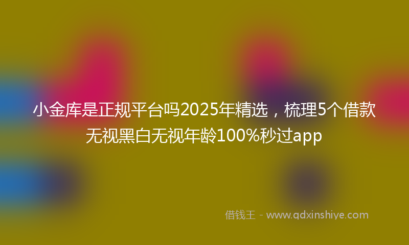 小金库是正规平台吗2025年精选，梳理5个借款无视黑白无视年龄100%秒过app