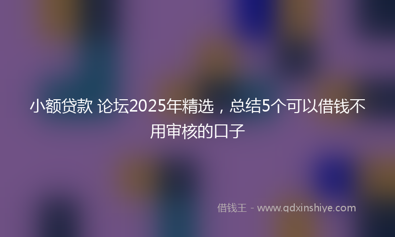 小额贷款 论坛2025年精选，总结5个可以借钱不用审核的口子
