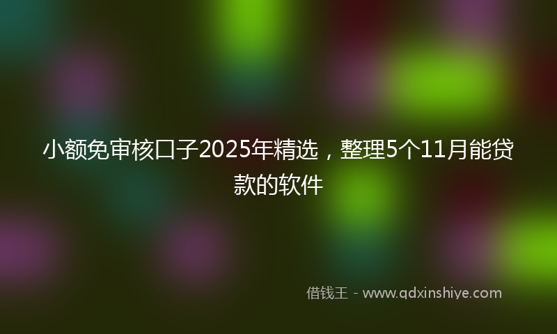 小额免审核口子2025年精选，整理5个11月能贷款的软件