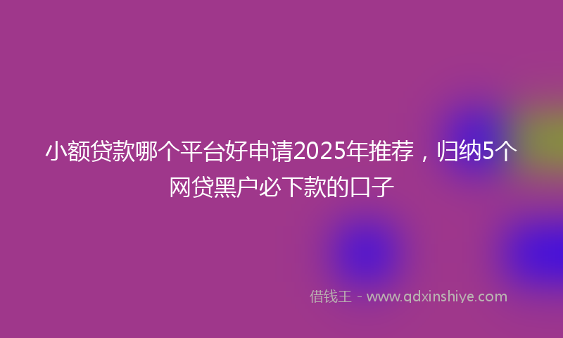 小额贷款哪个平台好申请2025年推荐，归纳5个网贷黑户必下款的口子