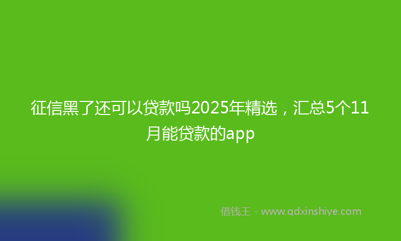 征信黑了还可以贷款吗2025年精选，汇总5个11月能贷款的app