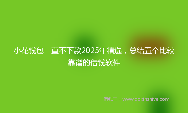 小花钱包一直不下款2025年精选，总结五个比较靠谱的借钱软件