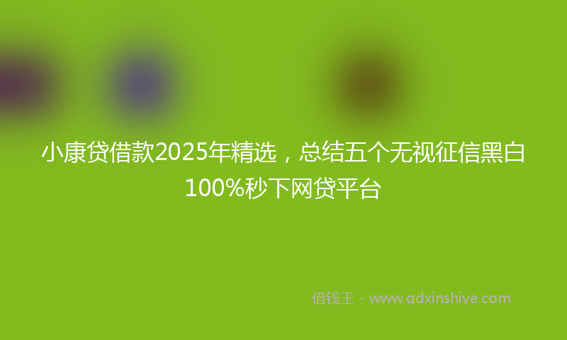 小康贷借款2025年精选，总结五个无视征信黑白100%秒下网贷平台