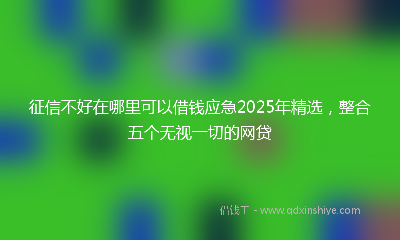 征信不好在哪里可以借钱应急2025年精选，整合五个无视一切的网贷