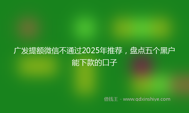 广发提额微信不通过2025年推荐，盘点五个黑户能下款的口子