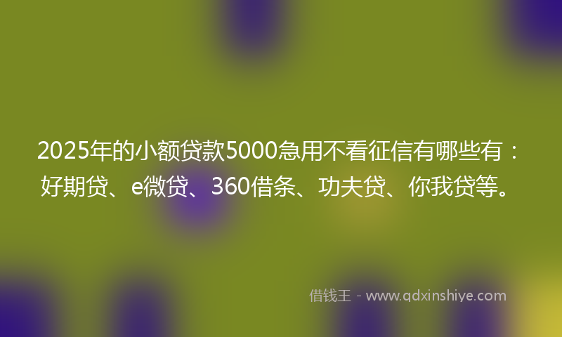 2025年的小额贷款5000急用不看征信有哪些有：好期贷、e微贷、360借条、功夫贷、你我贷等。