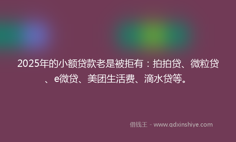 2025年的小额贷款老是被拒有：拍拍贷、微粒贷、e微贷、美团生活费、滴水贷等。