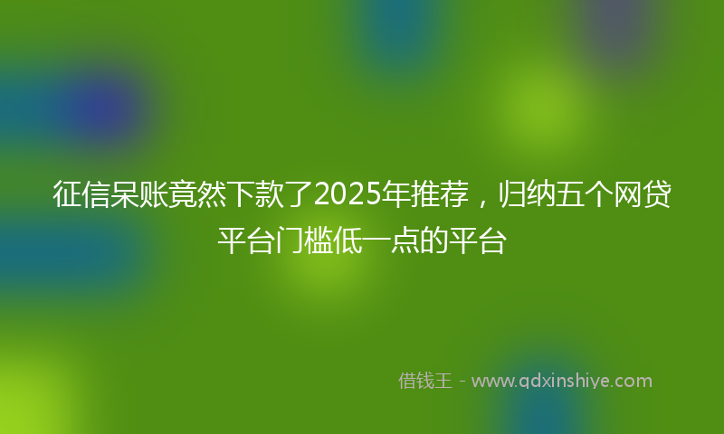 征信呆账竟然下款了2025年推荐，归纳五个网贷平台门槛低一点的平台