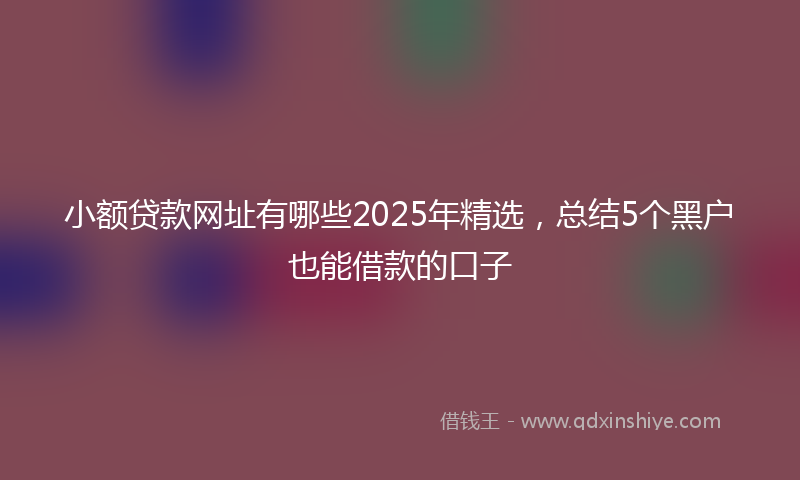 小额贷款网址有哪些2025年精选，总结5个黑户也能借款的口子
