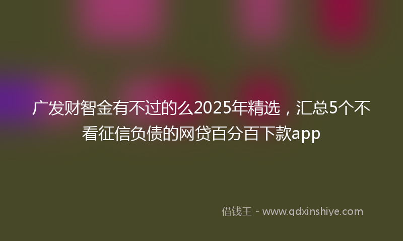 广发财智金有不过的么2025年精选，汇总5个不看征信负债的网贷百分百下款app