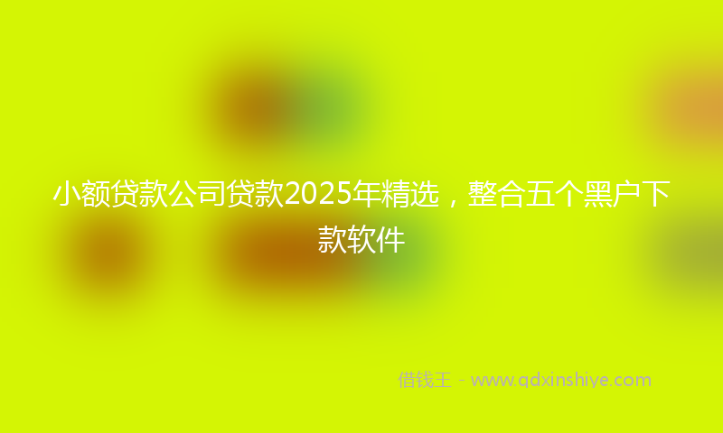 小额贷款公司贷款2025年精选，整合五个黑户下款软件