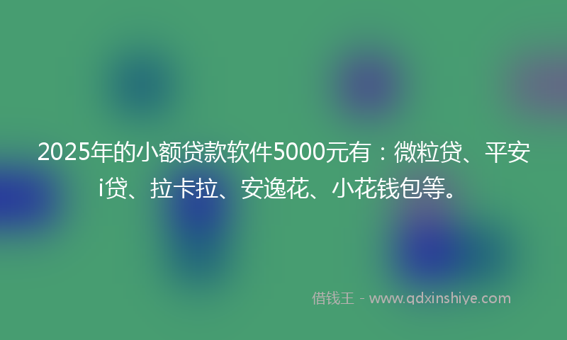 2025年的小额贷款软件5000元有：微粒贷、平安i贷、拉卡拉、安逸花、小花钱包等。