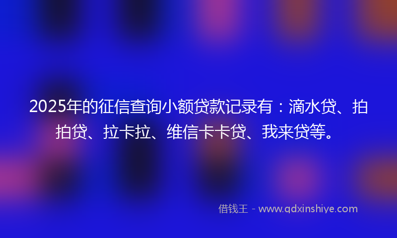 2025年的征信查询小额贷款记录有：滴水贷、拍拍贷、拉卡拉、维信卡卡贷、我来贷等。