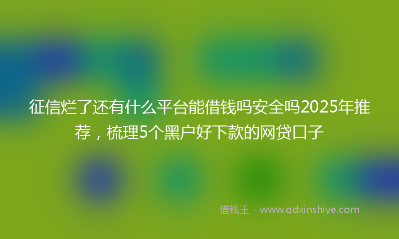 征信烂了还有什么平台能借钱吗安全吗2025年推荐，梳理5个黑户好下款的网贷口子
