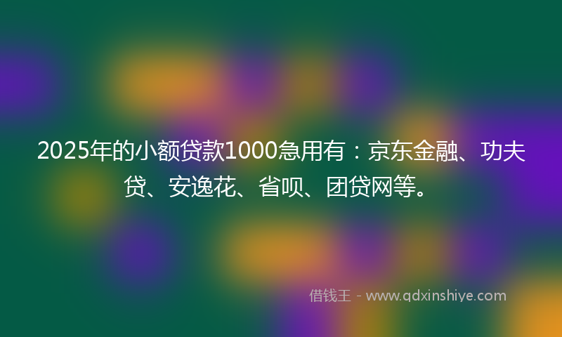 2025年的小额贷款1000急用有：京东金融、功夫贷、安逸花、省呗、团贷网等。