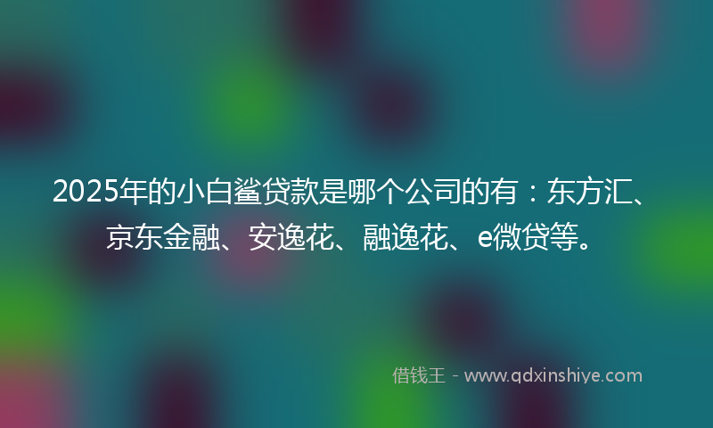 2025年的小白鲨贷款是哪个公司的有：东方汇、京东金融、安逸花、融逸花、e微贷等。