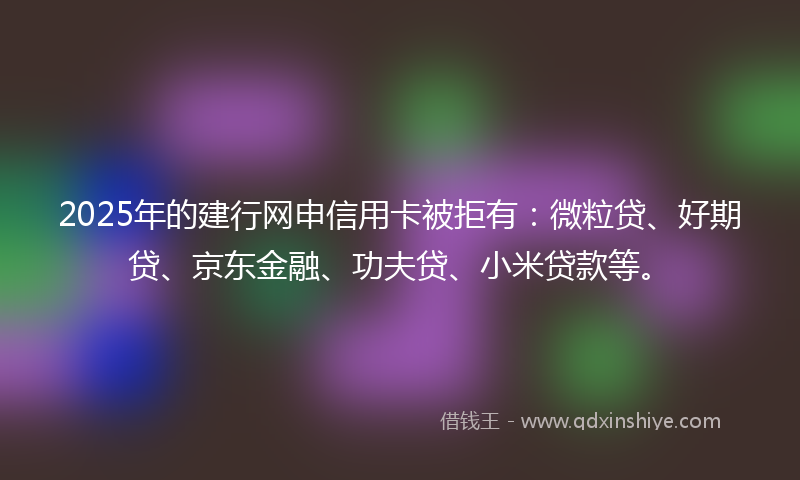 2025年的建行网申信用卡被拒有：微粒贷、好期贷、京东金融、功夫贷、小米贷款等。