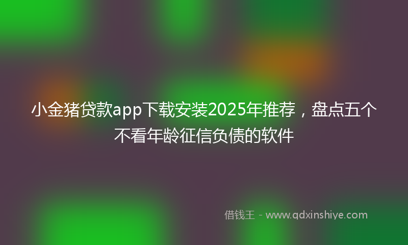 小金猪贷款app下载安装2025年推荐，盘点五个不看年龄征信负债的软件