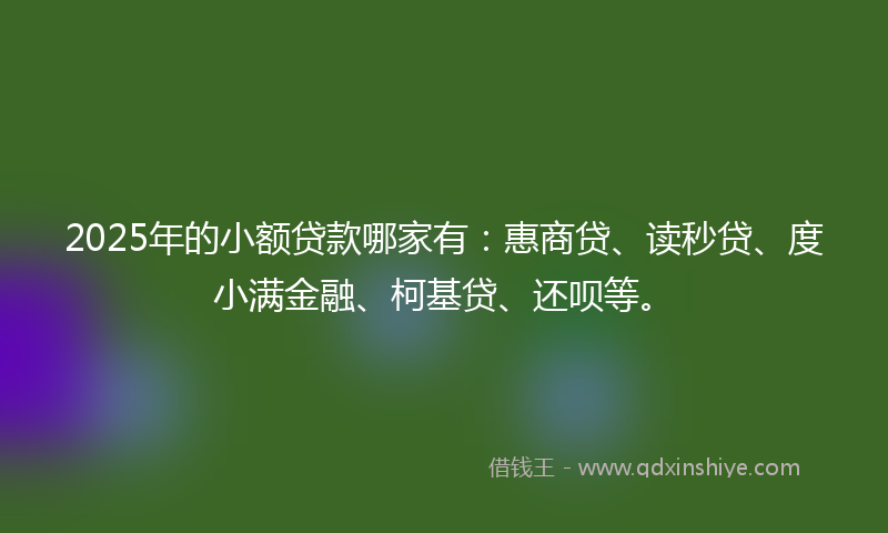 2025年的小额贷款哪家有：惠商贷、读秒贷、度小满金融、柯基贷、还呗等。